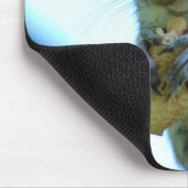 Muismat eekhoorn (Hoek)