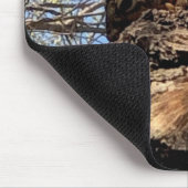 Muismat eekhoorn (Hoek)