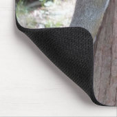 Muismat eekhoorn (Hoek)