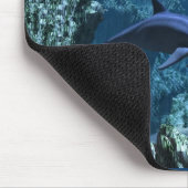 Muismat expressies (Hoek)