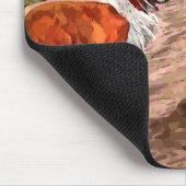 Muismat  gekleurde Collies (Hoek)