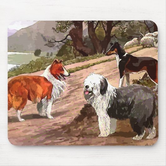 Muismat  gekleurde Collies (Voorkant)