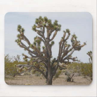 Muismat Joshua Tree