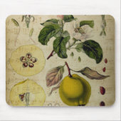 Muismat  kaart (Voorkant)