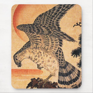 Muismat Kuniyoshi Hawk