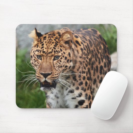 Muismat leopard (Met muis)