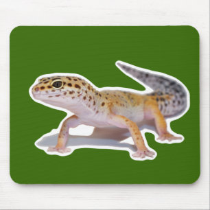 Muismat Leopard Gecko