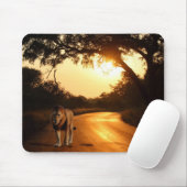 Muismat Lion op weg in Afrika (Met muis)