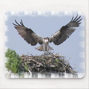 Muismat Osprey Nest