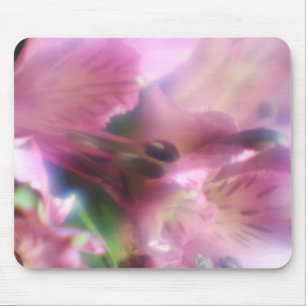 Muismat Paarse Alstroemeria