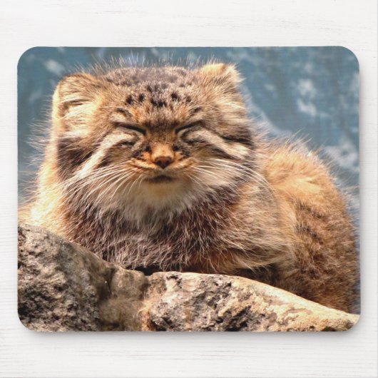 Muismat Pallas Cat (Voorkant)