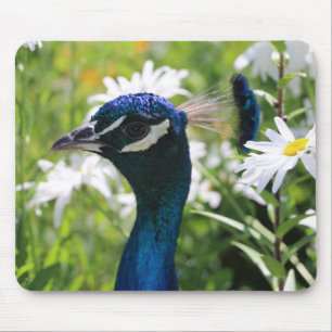 Muismat Peacock en Daisies
