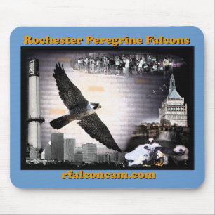 Muismat Rochester Peregrine Falcons