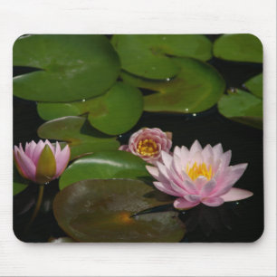 Muismat roze Lotus Waterlilies