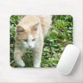 Muismat Sahara Oerwoud Cat (Met muis)