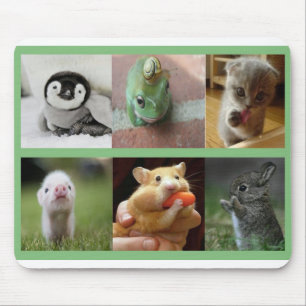 Muismat-Schattige dieren Muismat