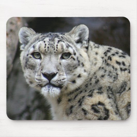 Muismat Snow Leopard (Voorkant)