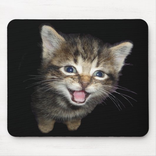 Muismat Tabby Kitten (Voorkant)