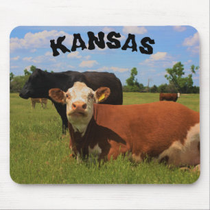 Muismat van de Koeien van Kansas Hereford en Angus