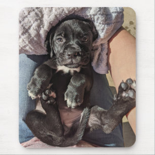 Muismat van de rietvorm Corso Puppy