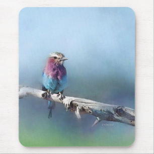 Muismat van geverfde vogels
