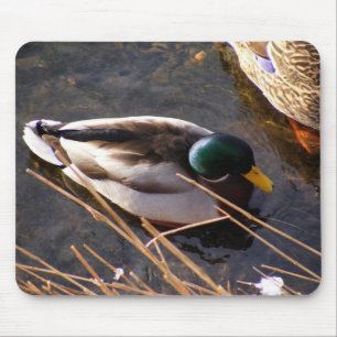 Muismat van hout Duck