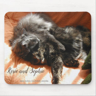 Muismat van katten