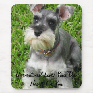 Muismat van mini Schnauzer volledig formaat