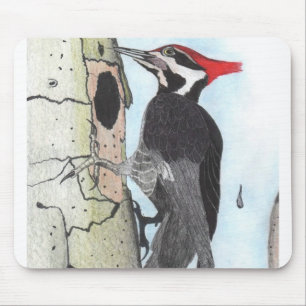 Muismat van pileated Woodpecker