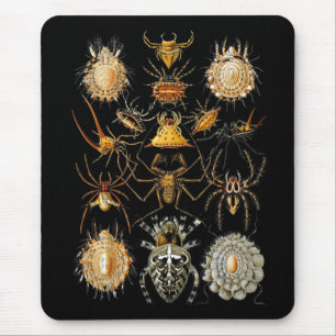 Muismat Vintage Kunstenaar Ernst Haeckel Arachnida