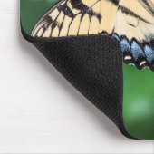 Muismat vlinder (Hoek)