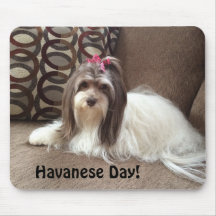 Muismat voor Havanse Hondenliefhebbers: Havanese D