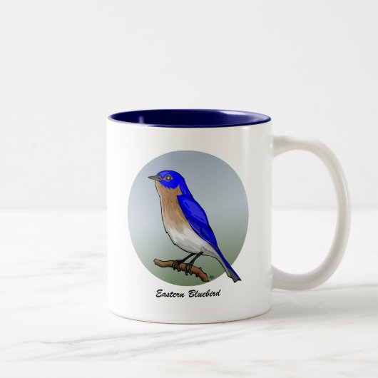 Muismatten en Mokken van de oostelijke Bluebird re (Rechts)