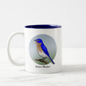 Muismatten en Mokken van de oostelijke Bluebird re (Links)