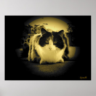 Muisoog uitzicht poster