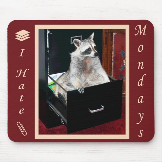 muispad 2 muismat (Voorkant)