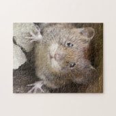 Muisportret Legpuzzel (Horizontaal)