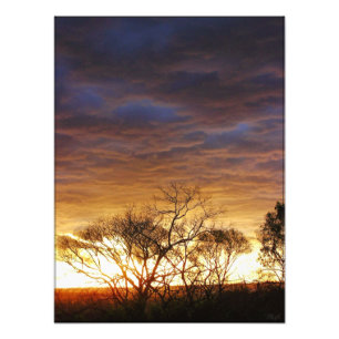 Muisscapes: Foto van levende kunst Foto Afdruk