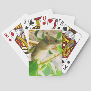 Muisspelkaarten Speelkaarten