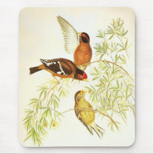 Muisvloer Vintage Brilastrild Vogels Muismat