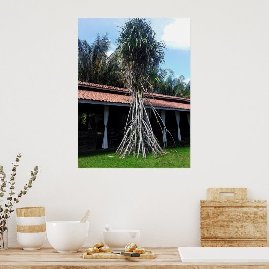 muitas pernas poster (Keuken)