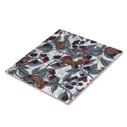 Muizen en bramen op wit tegeltje (Zijkant)