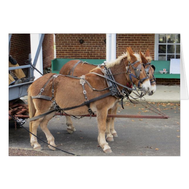 Mule Cart (Voorkant Horizontaal)