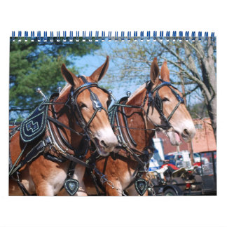MULE DAGEN KALENDER