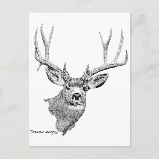 Mule Deer Briefkaart (Voorkant)