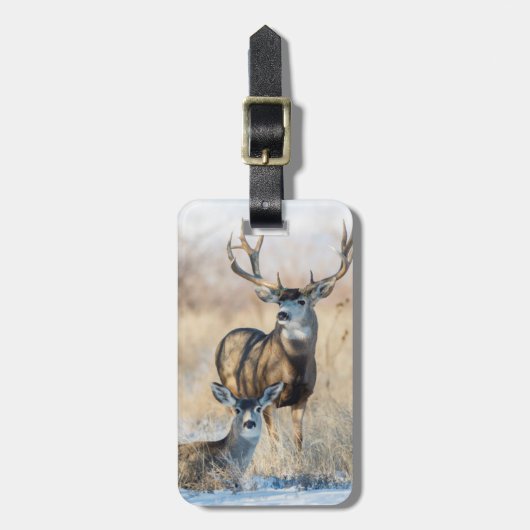 Mule Deer Buck en Doe Bagagelabel (Voorkant verticaal)