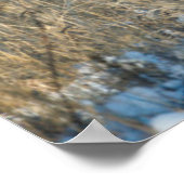 Mule Deer Buck en Doe Poster (Hoek)