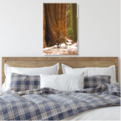 Mule Deer Canvas Afdruk (Insitu (Slaapkamer))