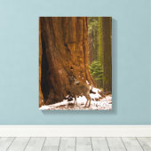 Mule Deer Canvas Afdruk (Insitu (Houten vloer))