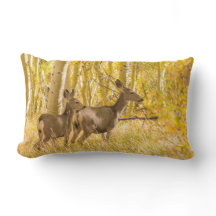 Mule Deer Doe en Fawn in Herfst Meadow